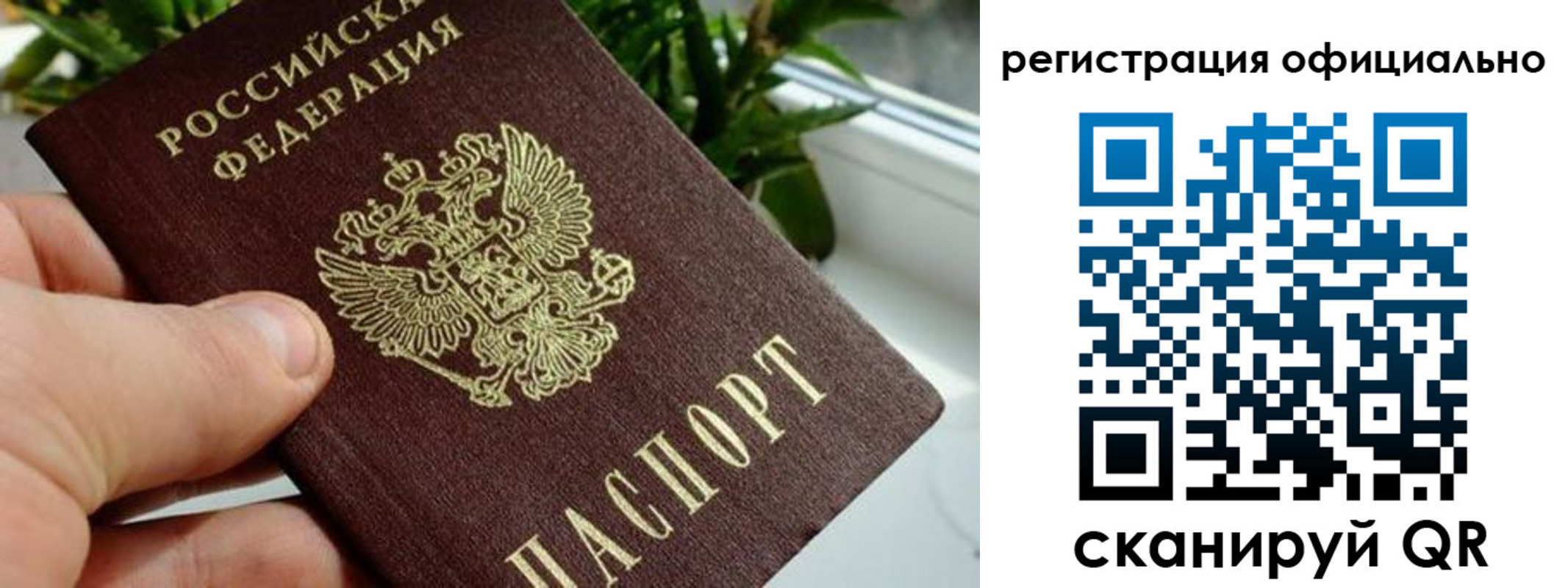 прописка законно в Находке